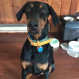 Meet your Posher, Cj